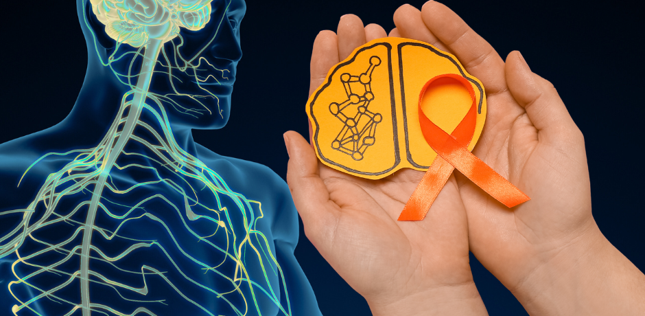 Multiple Sclerosis Slider Image Multiple Sclerosis Slider Image